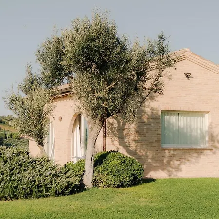 Nontiscordardime Nocleg ze śniadaniem Civitanova Marche